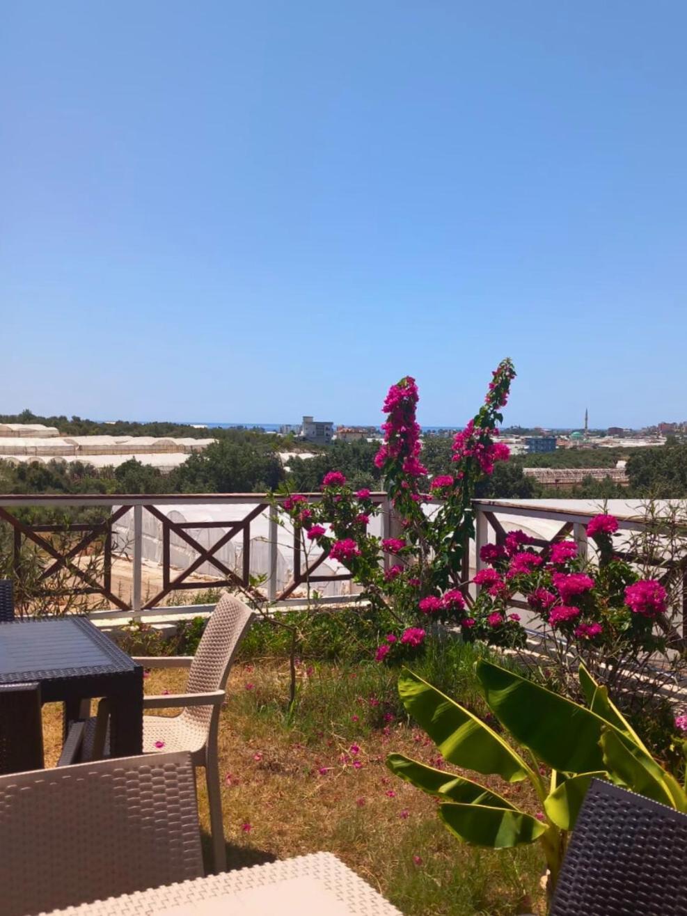 Bu Bungalow Hotel Demre Exteriér fotografie